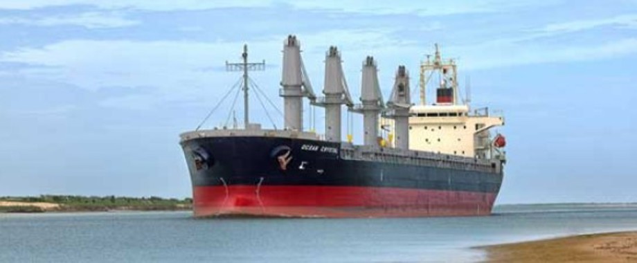 texas-lng-brownsville newsletter.jpg