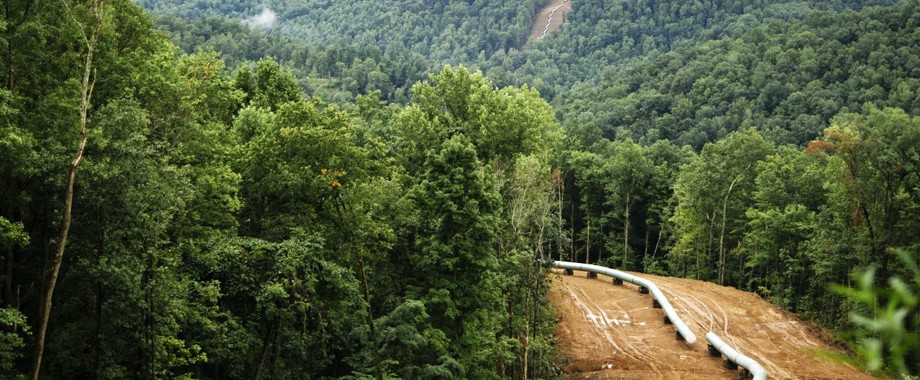 crop Mountain Valley Pipeline.jpg