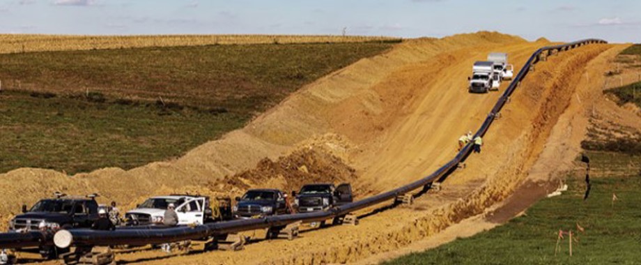 nemec newsletter marcellus.jpg