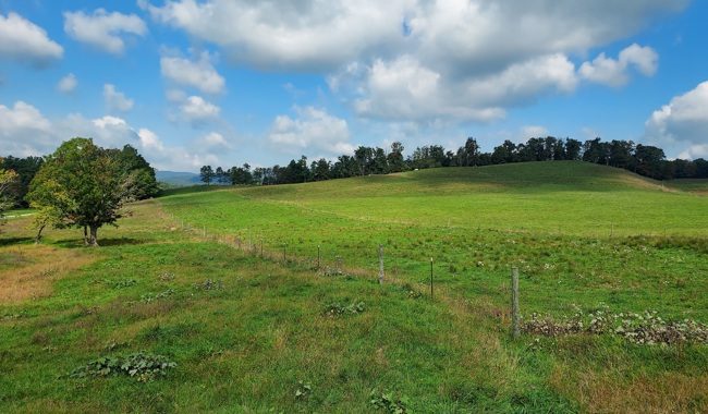 Mountain Valley Pipeline - Finished Restored Right-Of-Way At the Blue Ridge Parkway - Roanoke County Virginia.jpg
