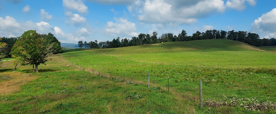 Mountain Valley Pipeline - Finished Restored Right-Of-Way At the Blue Ridge Parkway - Roanoke County Virginia.jpg