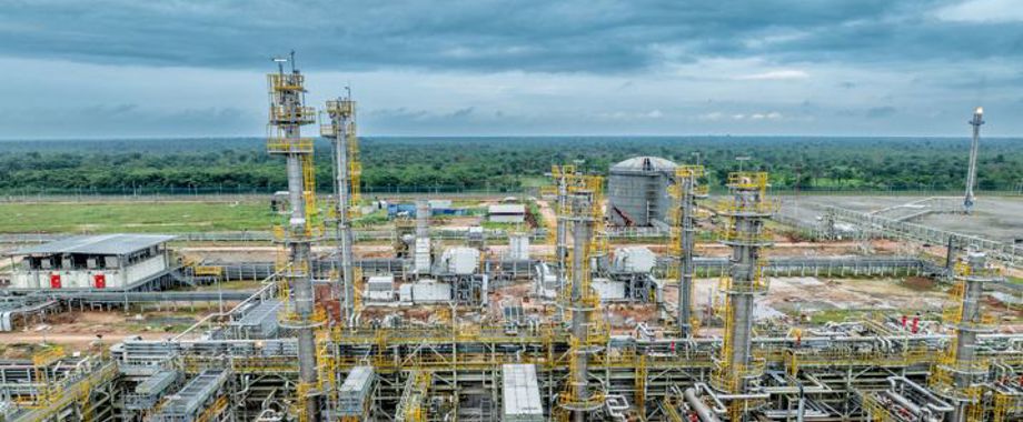 Seplat Anoh Gas Plant 0986